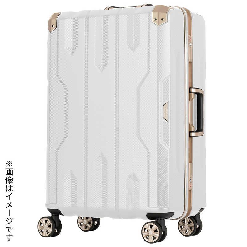 三代目JSB 登坂広臣 キャリーケース ベルトのみ 三代目JSB 登坂広臣