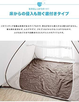 底生地付き 超ビッグサイズ