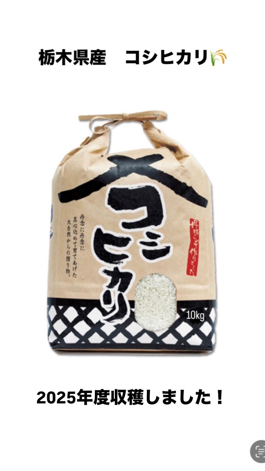 銀河流星　茶盌　十三代臥牛窯　悟龍作　共箱入 銀河流星 茶盌 十三代臥牛窯 悟龍作 共箱入