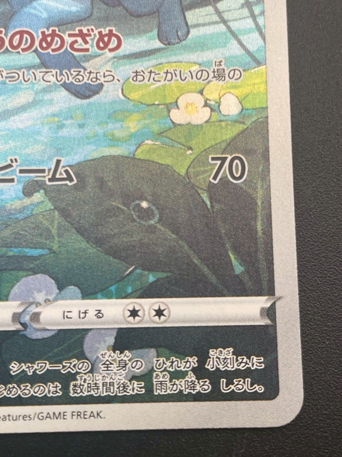 【PSA10】シャワーズ CHR 4連番 VMAXクライマックス 189/184 PSA10】シャワーズ CHR 4連番 VMAXクライマックス 189/184 PSA10