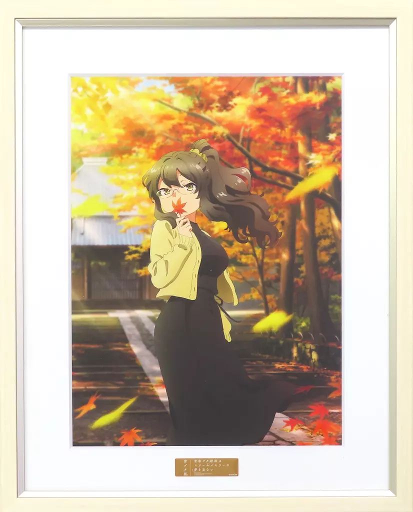 最終値下げ青春ブタ野郎はスクールメモリーの夢を見ないキャラファイングラフ 青春ブタ野郎はスクールメモリーの夢を見ない -青ブタ展- キャラファイン