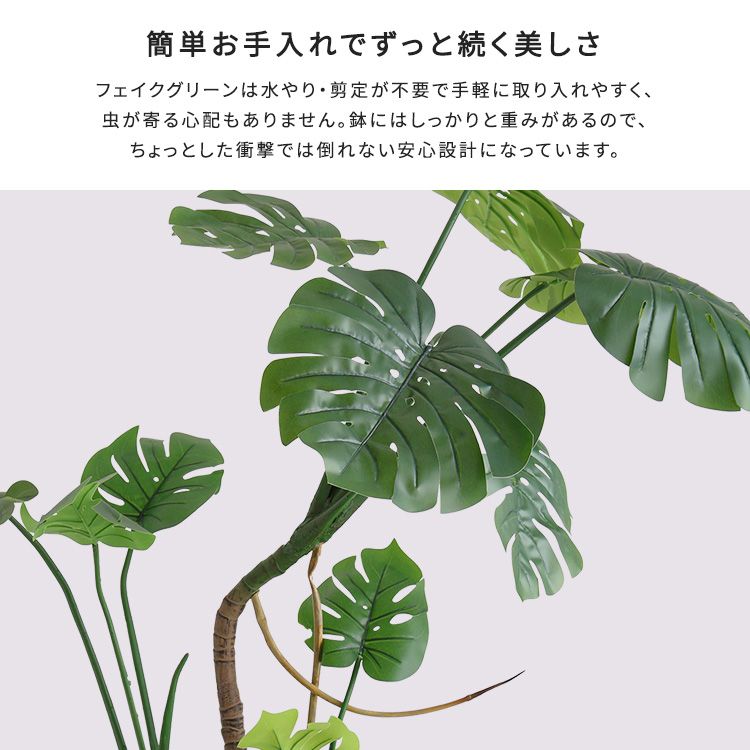 Lサイズ 2801
