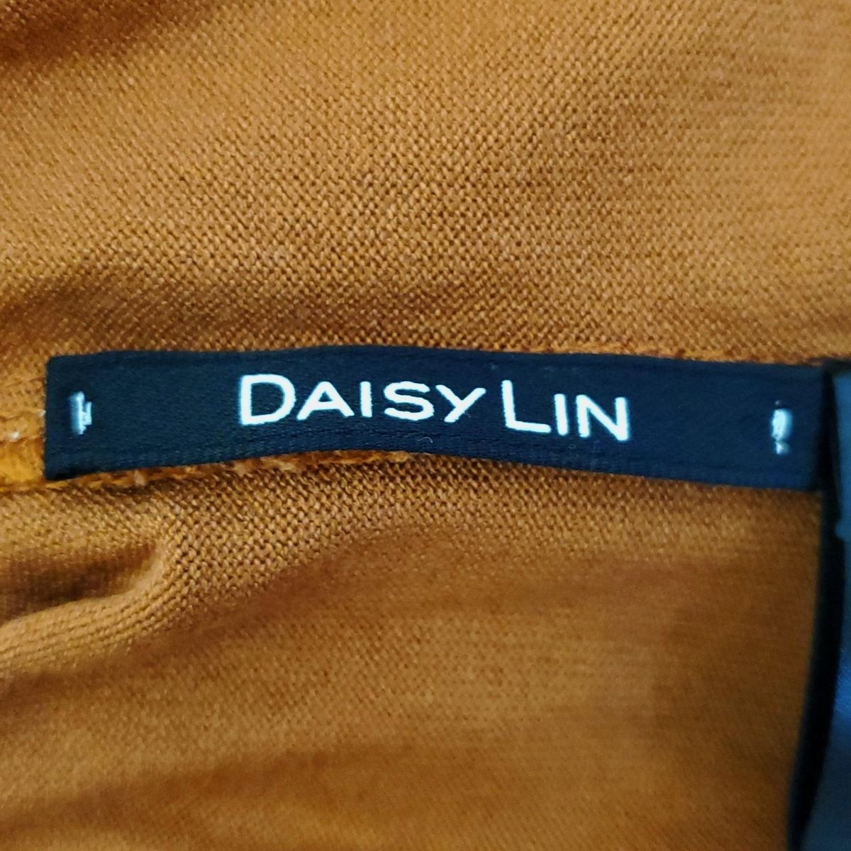 DAISY LIN(デイジーリン) 長袖カットソー サイズ38 M レディース