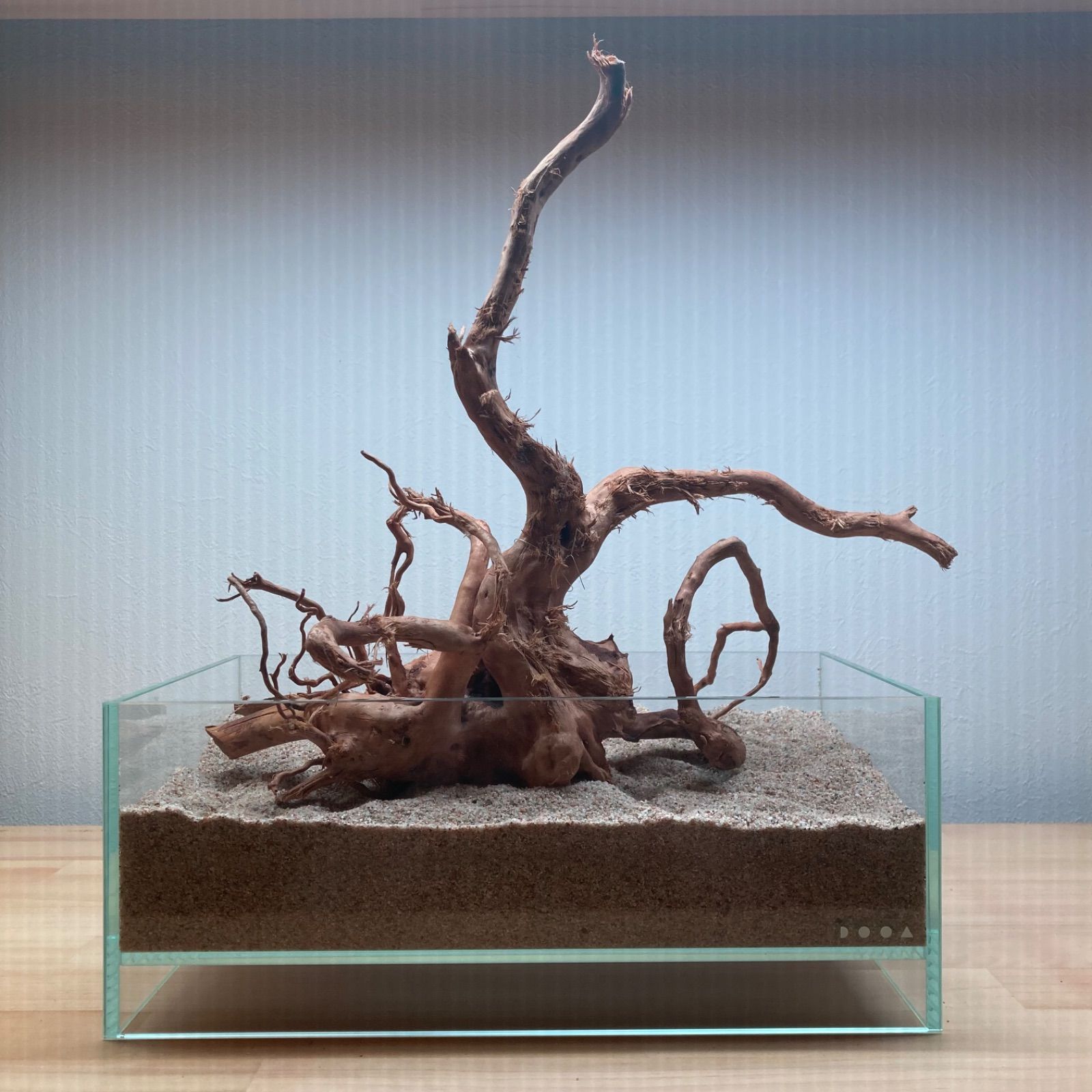 受注品：流木 流木の流木屋～ギフト・GIFT・流木販売・流木花器・流木アート