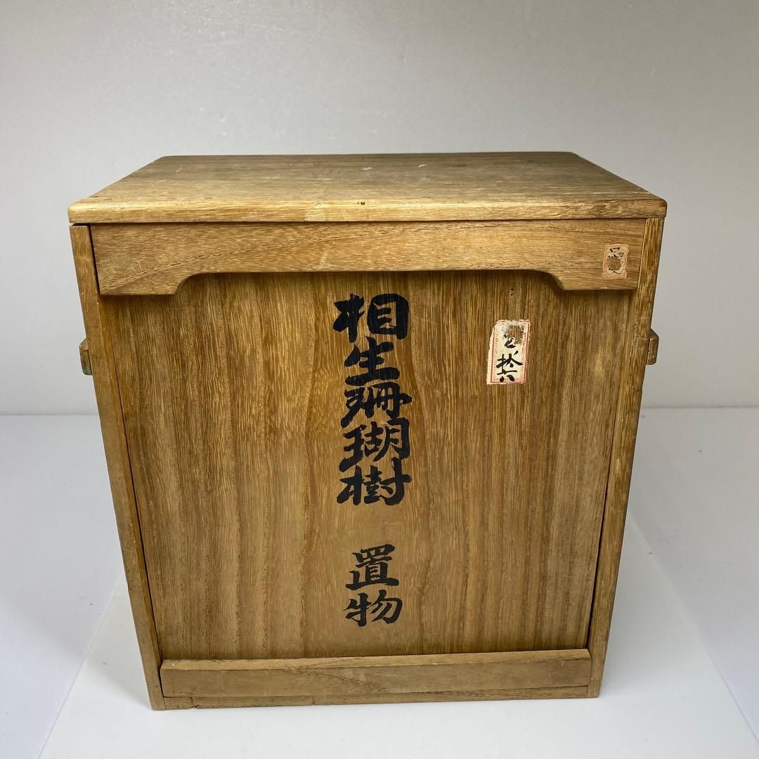 本肉赤珊瑚 原木 トウエ 東さ6-1216☆1F - メルカリ