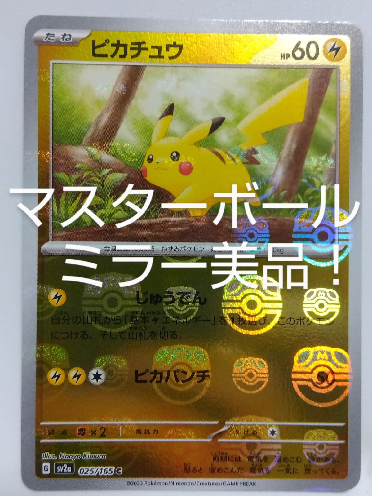 151 ピカチュウ マスターボール 線なし Pikachu | gulatilaw.com