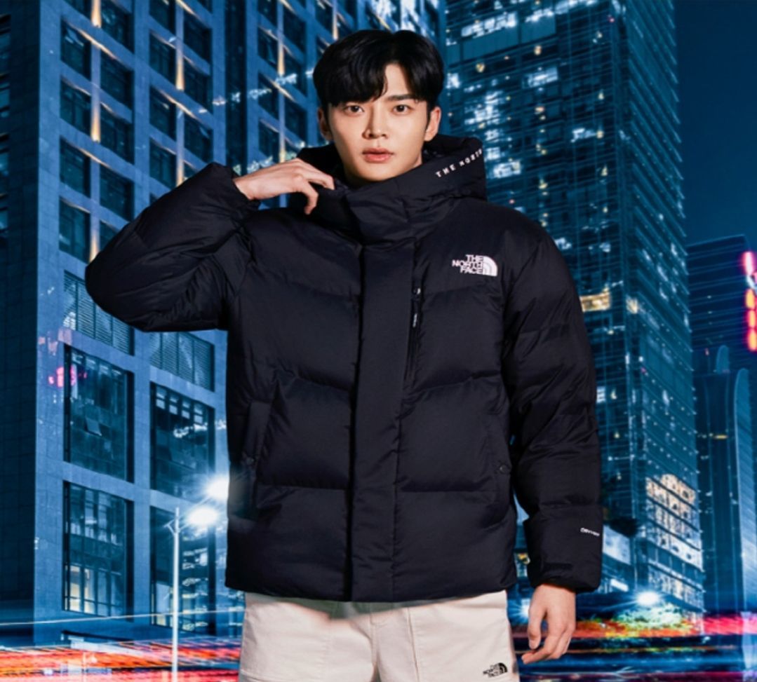 THE NORTH FACE ノースフェイス フリームーブ ダウンジャケット新品 ...