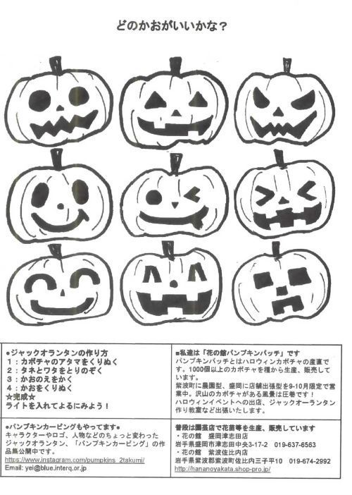 ハロウィン ジャックオーランタン用かぼちゃ ８個１箱 Ｍサイズ2kg台