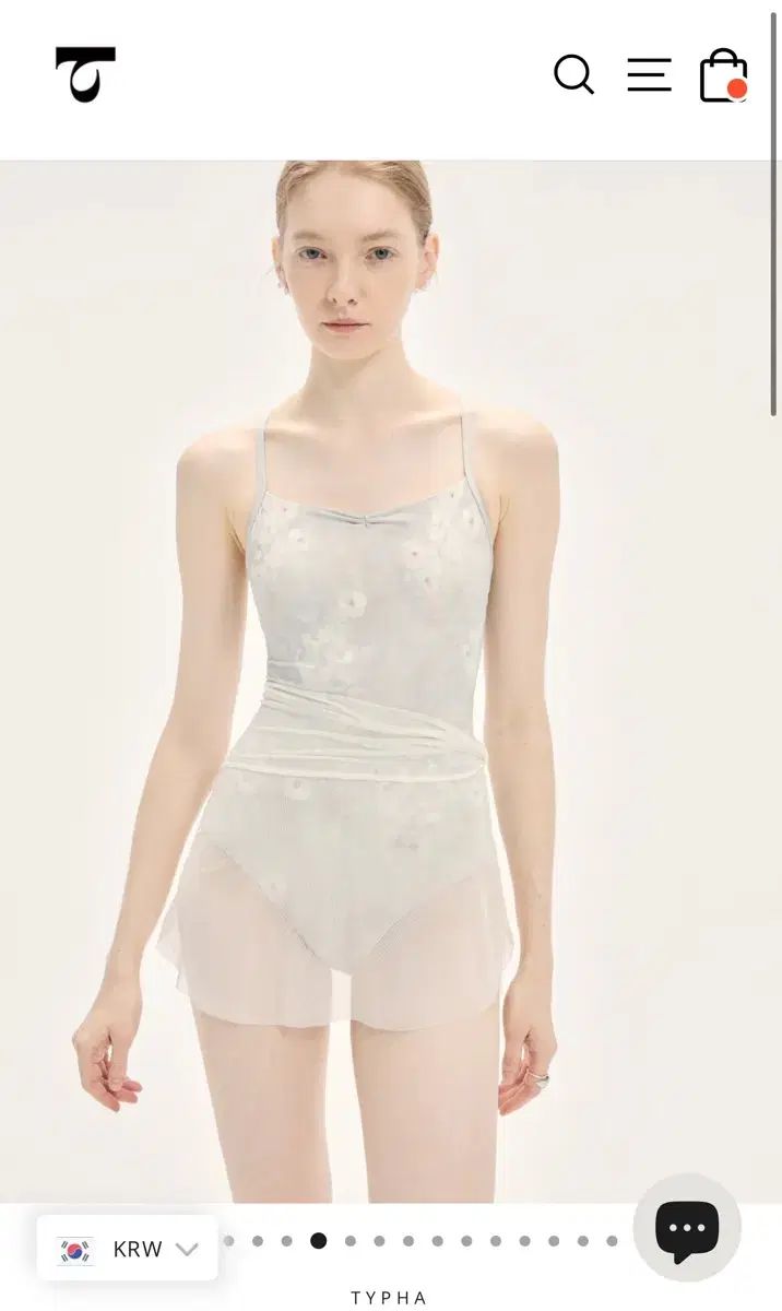 タイパ Ballet Mesh Mini Skirt メッシュ スカート