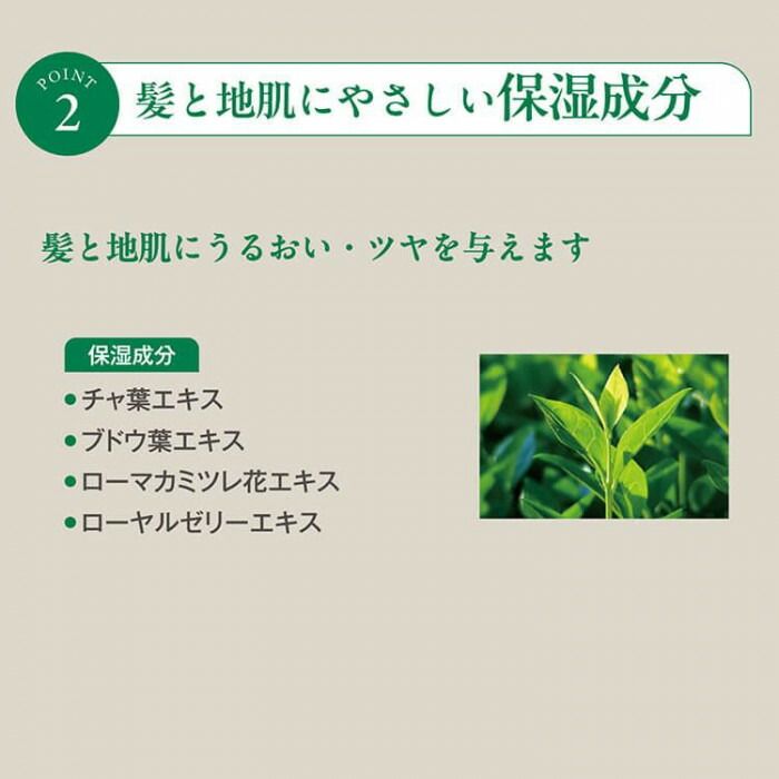 サラヤ ラシュヴェールシャンプー 10L 26764 SKLAD-KIRPICHA_RU