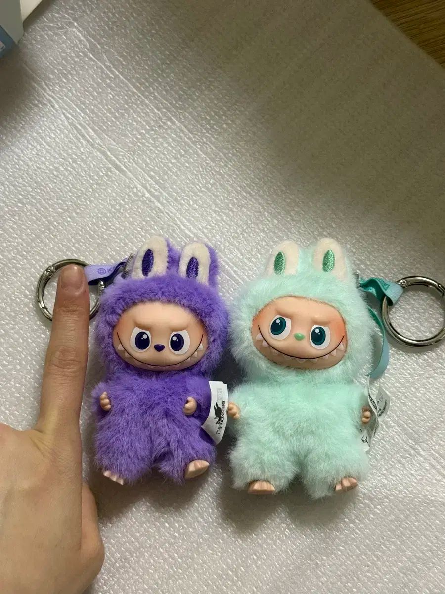 美皮膚科のプライマリケア 犬と猫の皮膚病はどうやって診るの? あま