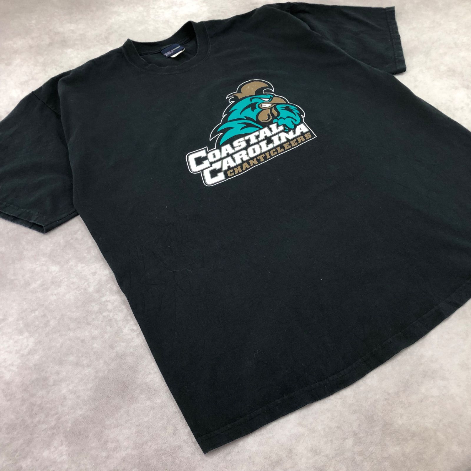 MV SPORT エムブイスポーツ プリント コースタル・キャロライナ大学 カレッジロゴ 鳥 イラスト キャラクター Tシャツ 半袖 古着 USED Vintage ヴィンテージ アメカジ