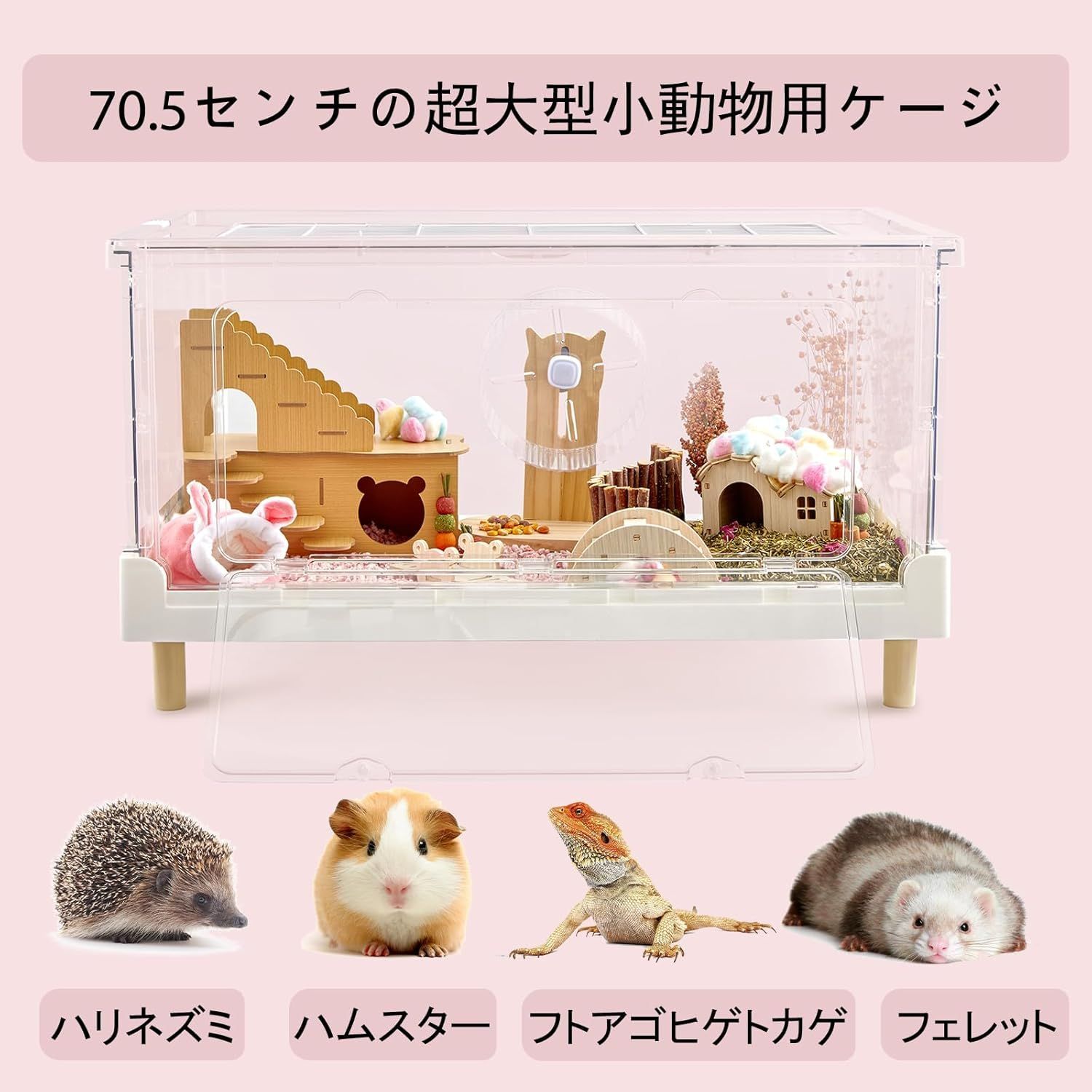 ヒゲトカゲ ネズミ