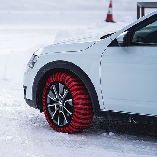 スノーソックス