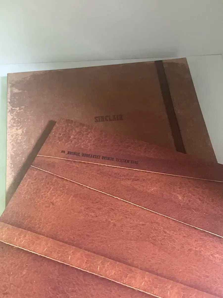 ミュージカル ダミアン 2025 エッセイブック シンク 版 デミアン版