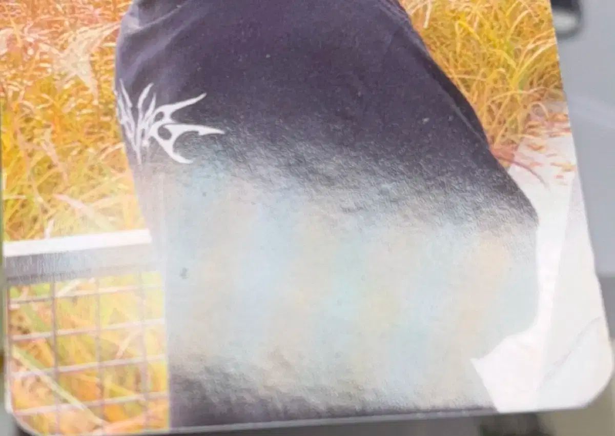 aespa(エスパ) カリナ(KARINA) SM グローバル デラックス 長袖Tシャツ