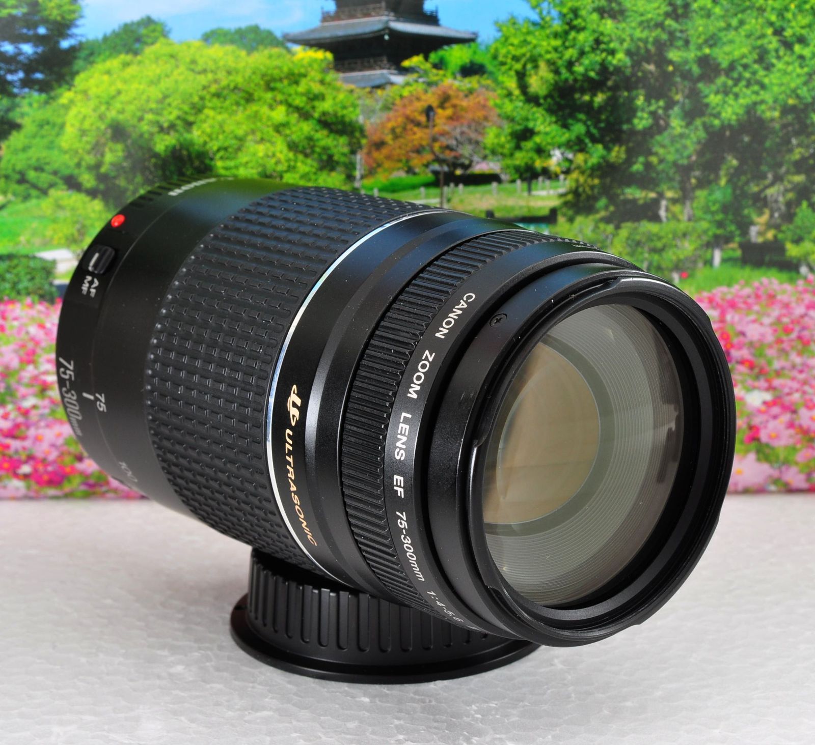 スポーツ☆望遠レンズ☆大迫力300㎜☆Canon EF75-300㎜ USM
