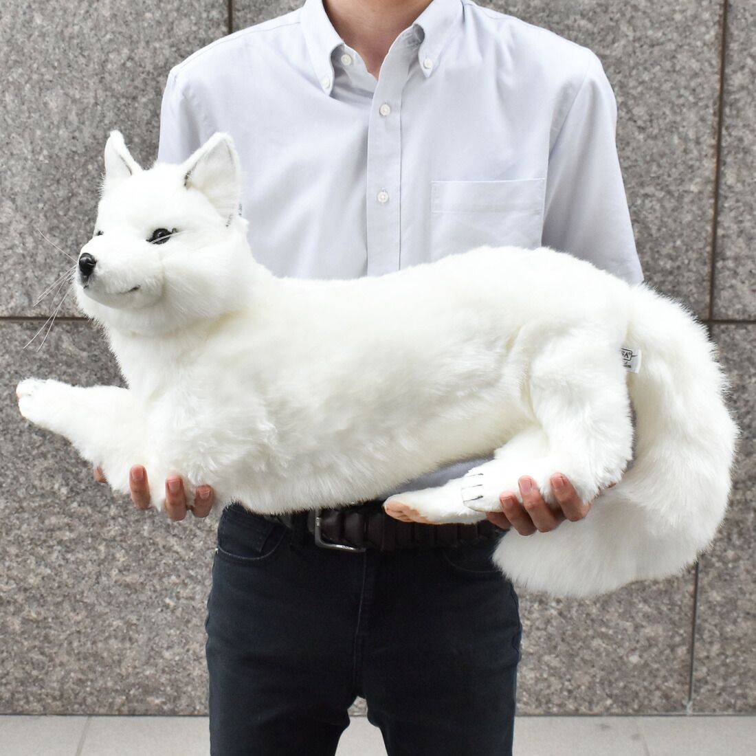 ハンサ ぬいぐるみ 6828 北極キツネ シロキツネ 60 楽天市場】HANSA ハンサ ぬいぐるみ6828 ホッキョクギツネ 北極