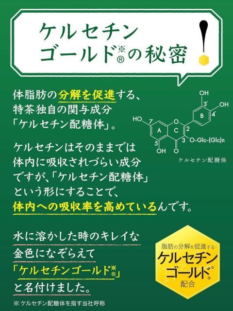 トクホ お茶