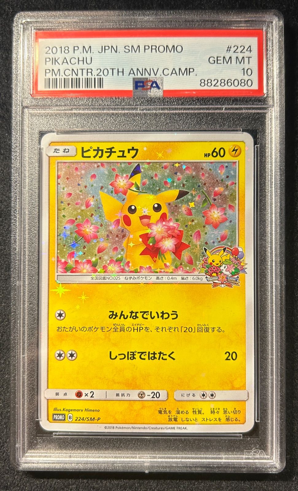 ピカチュウ【P】(224/SM-P)PSA10