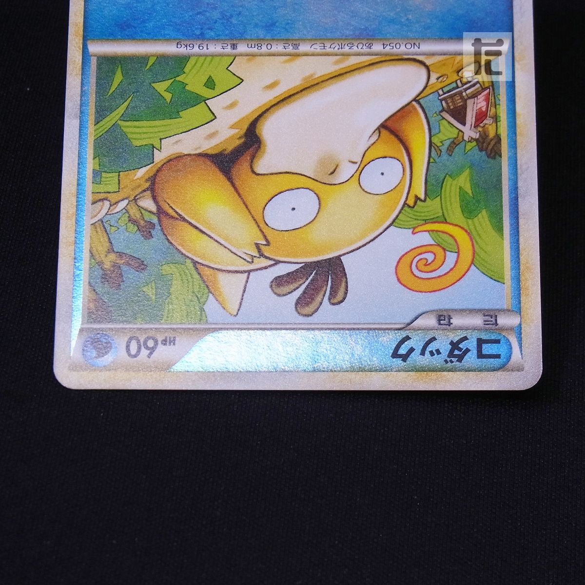 コダック 015/080 1ED ミラー / TA23638