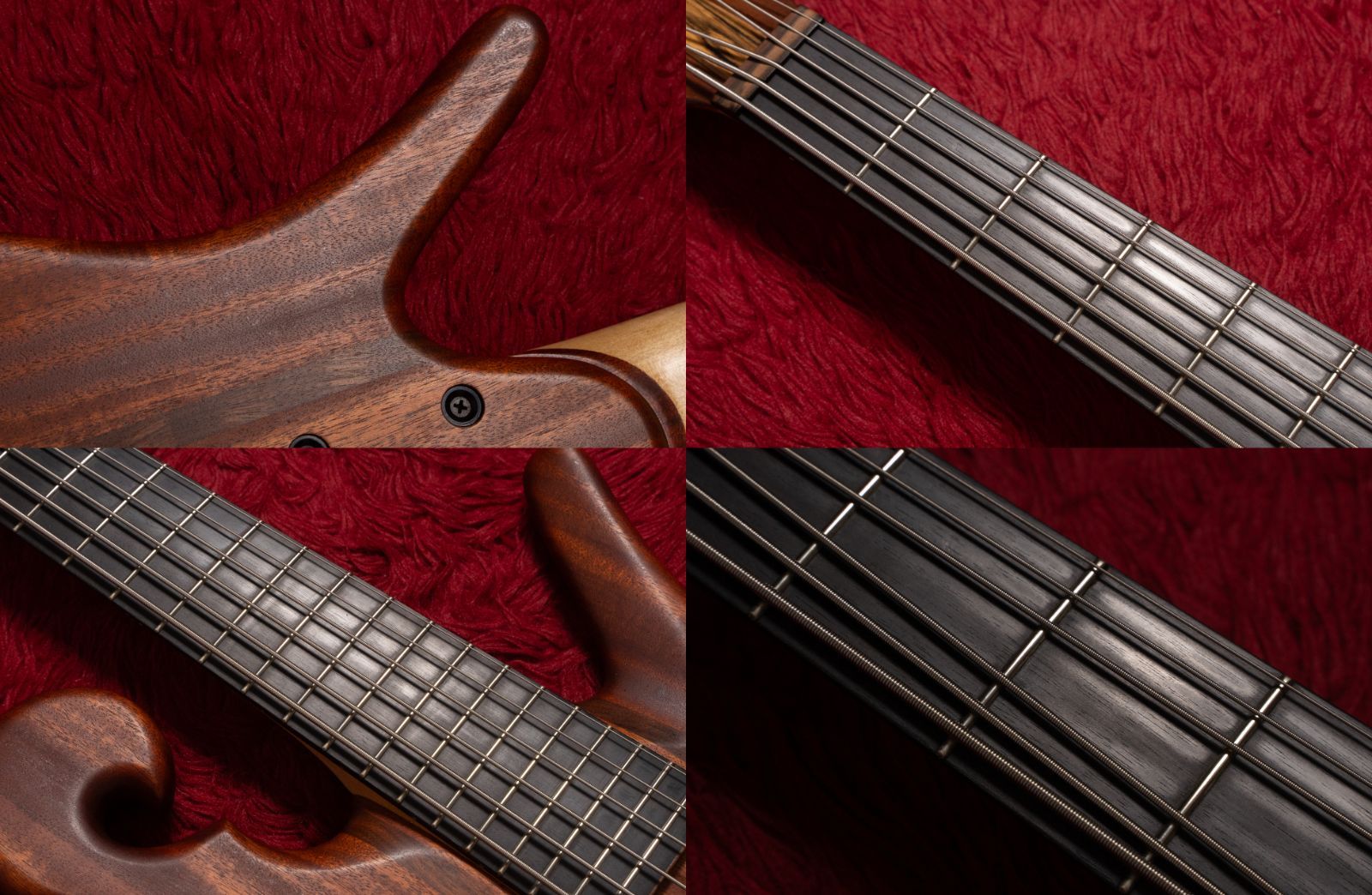 ベース carl thompson semi frills Carl Thompson Semi Frills – LowEnd Bass Shop Vault