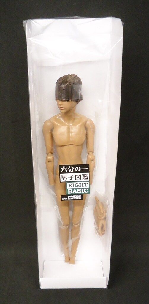 ☆新品☆ ペットワークス 六分の一男子図鑑 エイト B2508 - メルカリ