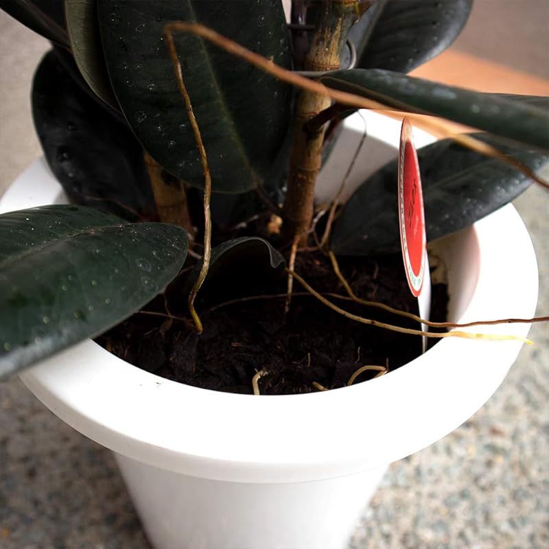 リビングやオフィス向きサイズ