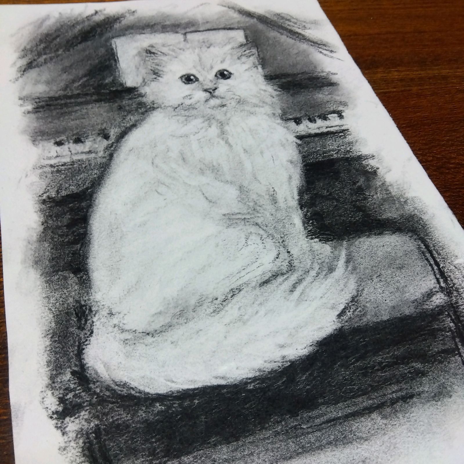 猫 絵画 原画 手描き肉筆画 - 絵画