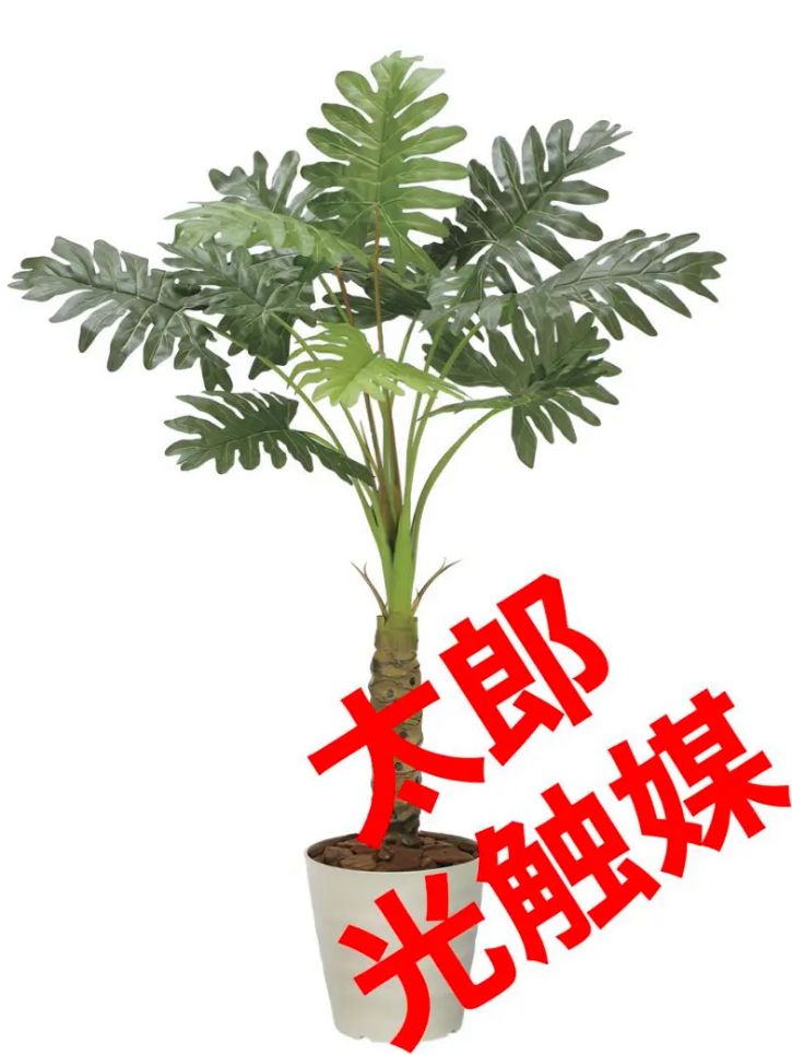 光触媒 人工観葉植物 ウォールグリーン フェイクグリーン セローム1.25