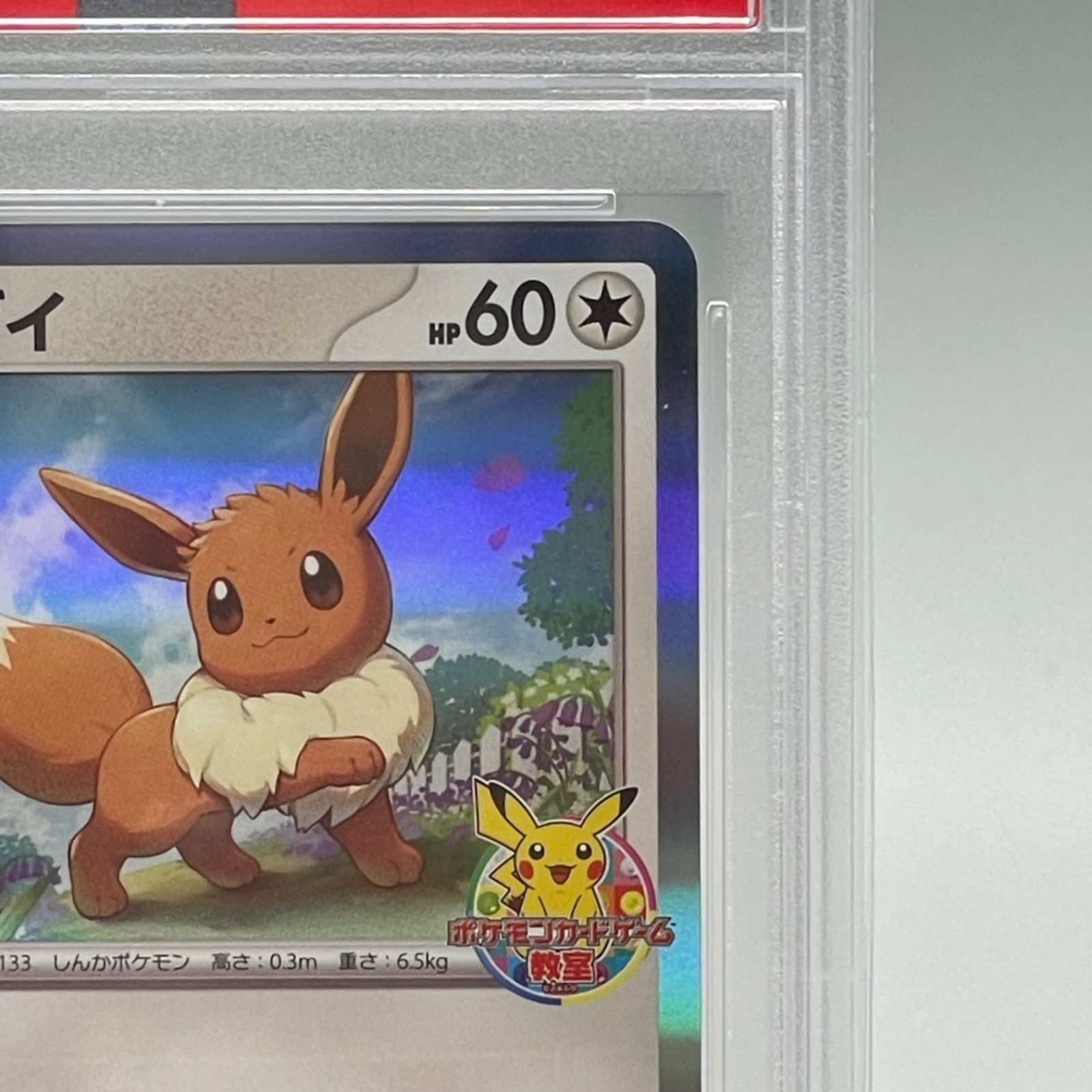 PSA10】イーブイ 033/SV-P ポケモンカードゲーム教室プロモ - メルカリ