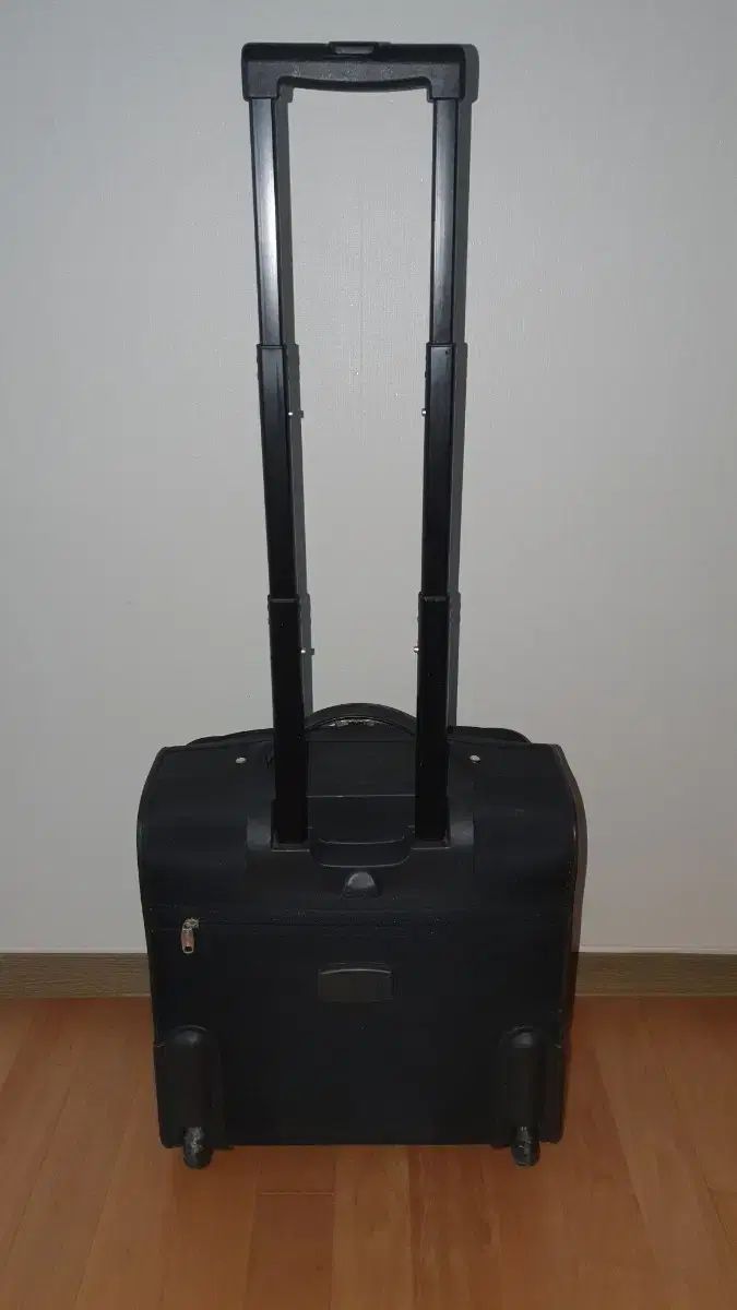 機内旅行の場合 キャリアバッグ