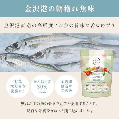 新品 犬猫生活 金沢港の朝獲れ魚 750g 猫用 犬猫生活 【特典付き】犬猫生活 キャットフード オールステージ