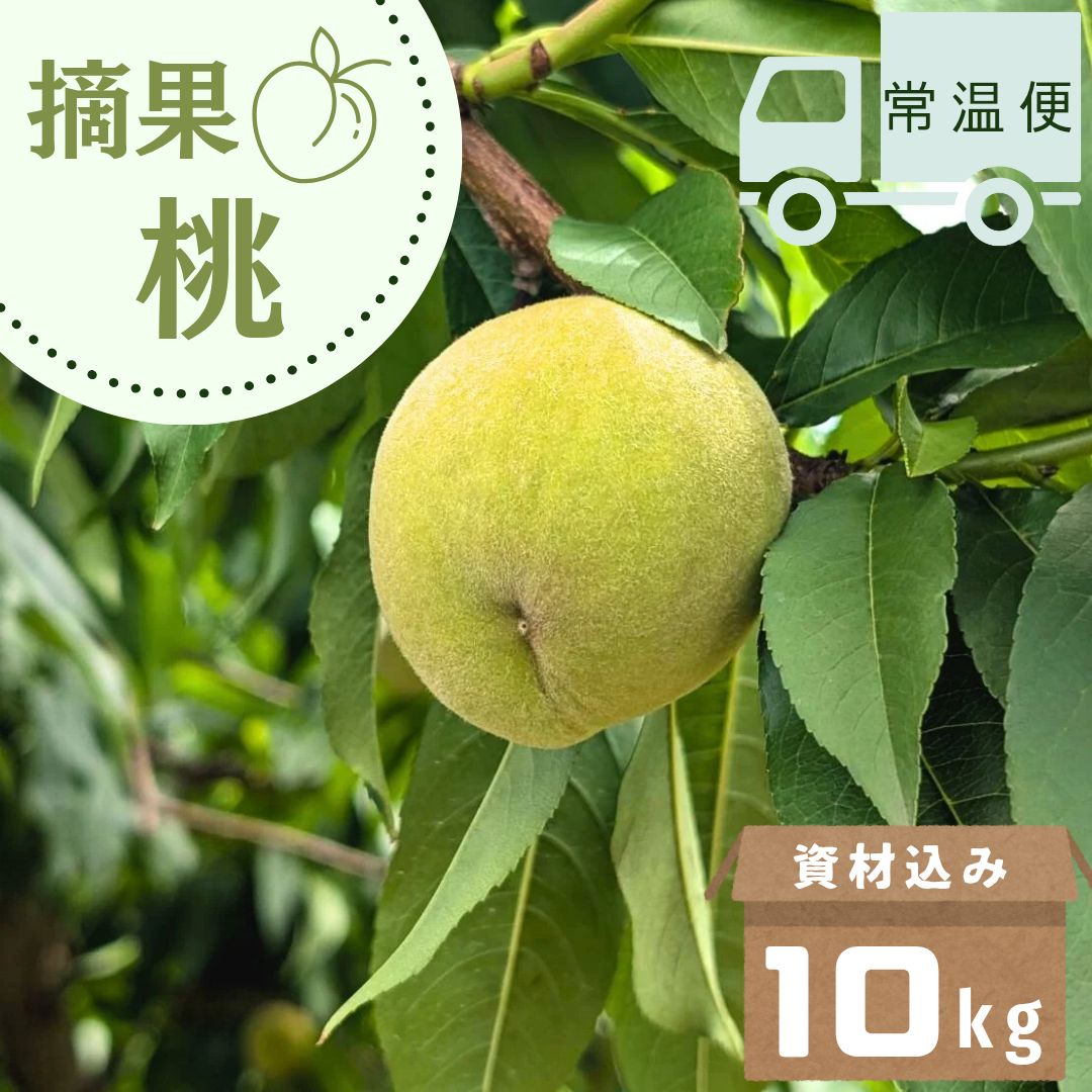 山形県産 加工用 若桃 摘果桃 10キロ - メルカリ