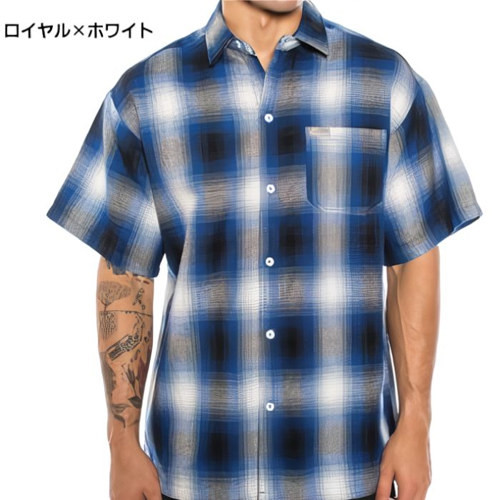 リチャードジノリ 手描風景文 高級プレート 美品 希少】椰子の木のある