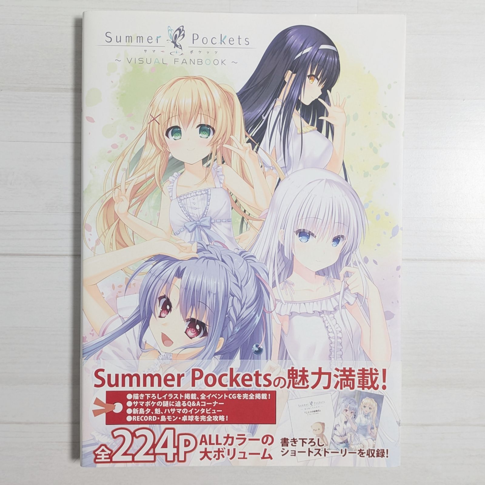 Summer Pockets VISUAL FANBOOK / サマーポケッツ ビジュアル