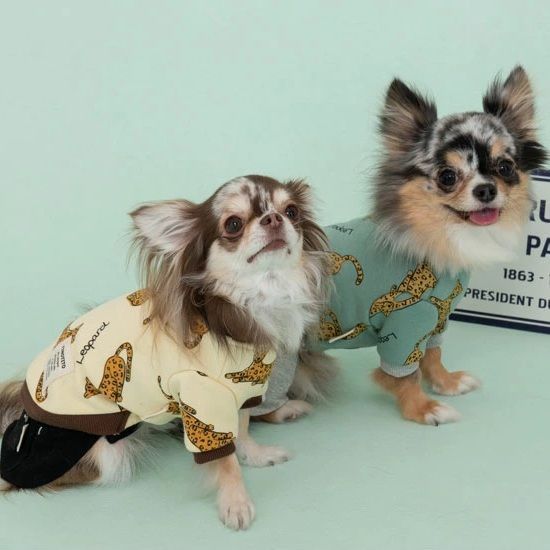 超希少世界192枚 ミュウツー プロモ405 MEWTWO-HOLO 405 超希少世界192枚 ミュウツー プロモ405 MEWTWO-HOLO 405