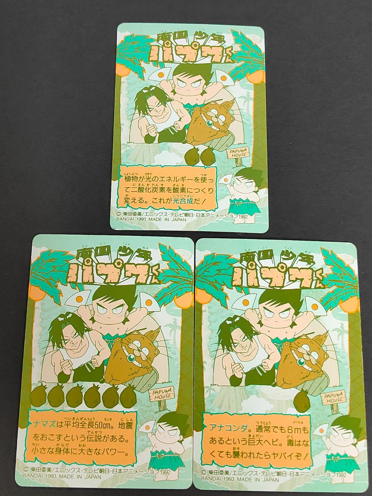 aca323 南国少年 パプワくん カードダス カード 5 37 28 東北ミヤギ 