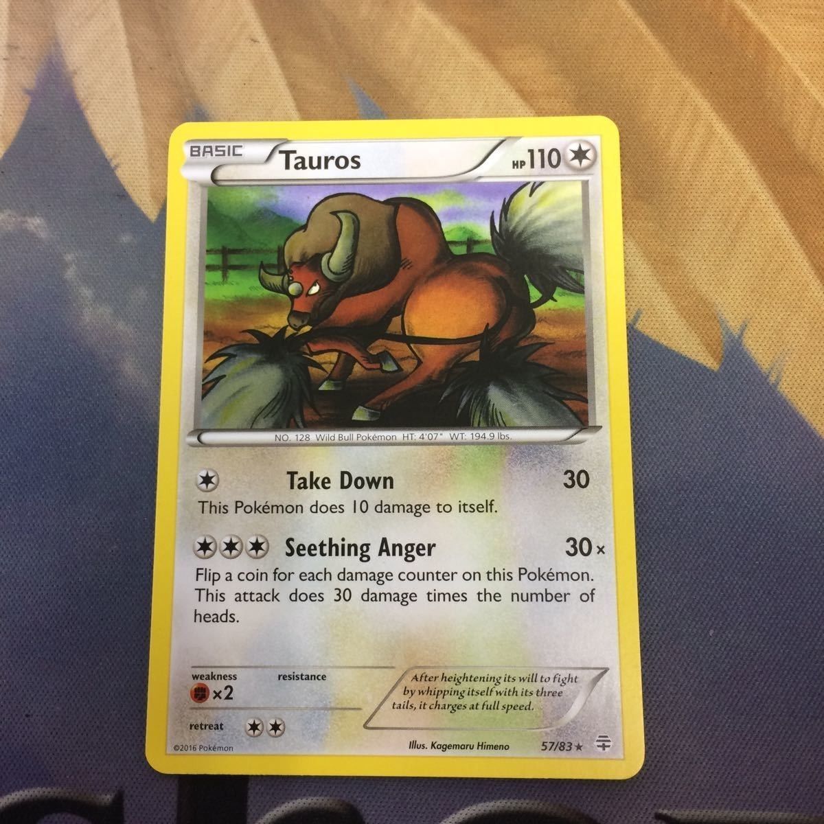 ほ3 ポケモンカード 旧裏面 海外 英語版 カクレオン ケンタロス