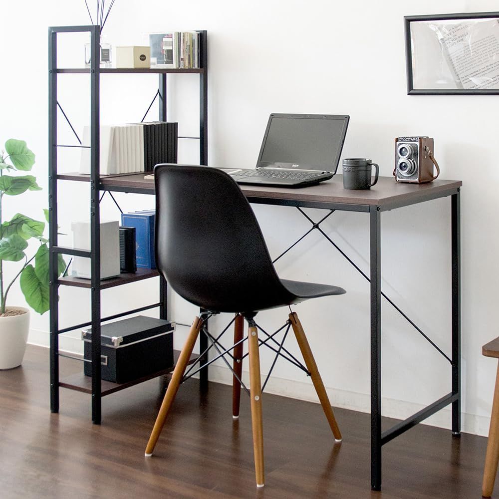 ラスト8 希少種 E.megacalix メガカリックス メキシコ輸入苗