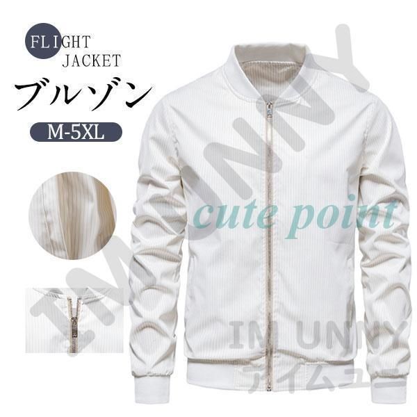 Lunar Concepts ルナコンセプト 1R1 インサート jstaポーチ
