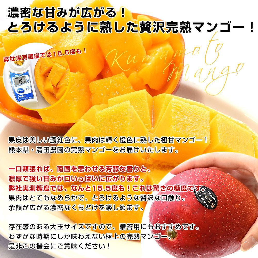 熊本県から産地直送 玉東町 清田農園 完熟マンゴー 秀品 大玉3L
