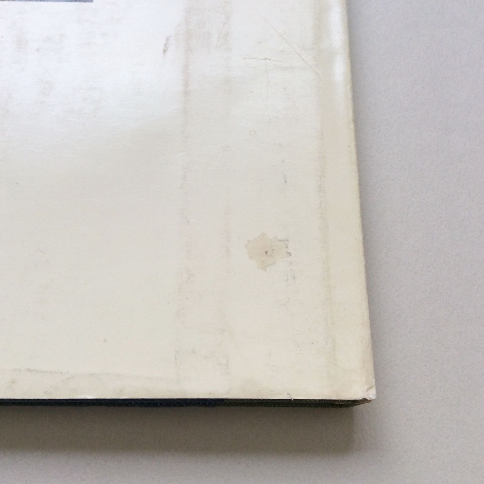 Handmade Handmade Houses : A Guide to the Woodbutcher's Art（ハンドメイド・ハウス） Houses: A Guide to the Woodbutcher\u0027s Art : Boericke, Art