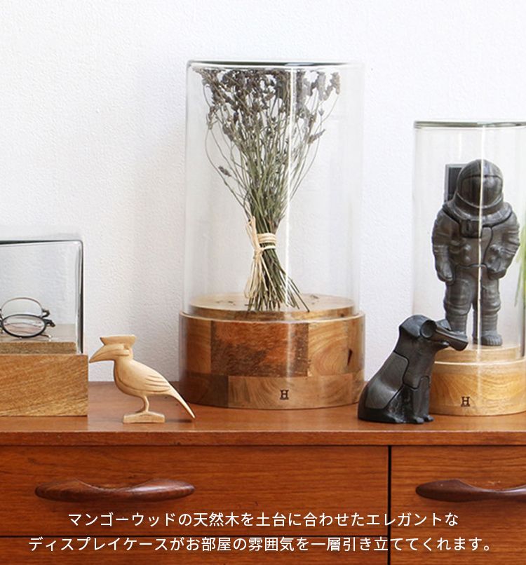 ディスプレイケース　ガラスドーム　天然木　置物　インテリア　工芸品　A3237 ディスプレイケース ガラスドーム 天然木 置物 インテリア 工芸品 A3237