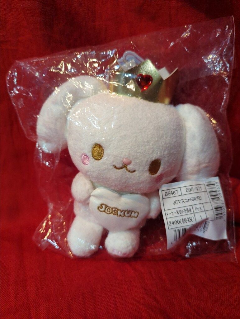 JO1 JOCHUM サンリオ マスコット RURU 白岩瑠姫 jochum_nui_19.jpg?impolicy=lt&