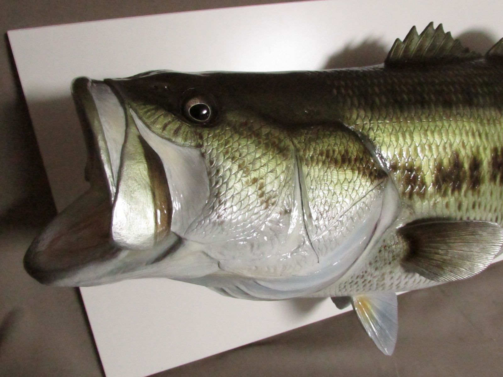 ハンドメイド 62cmブラックバス壁掛け 釣り フィギュア 魚模型