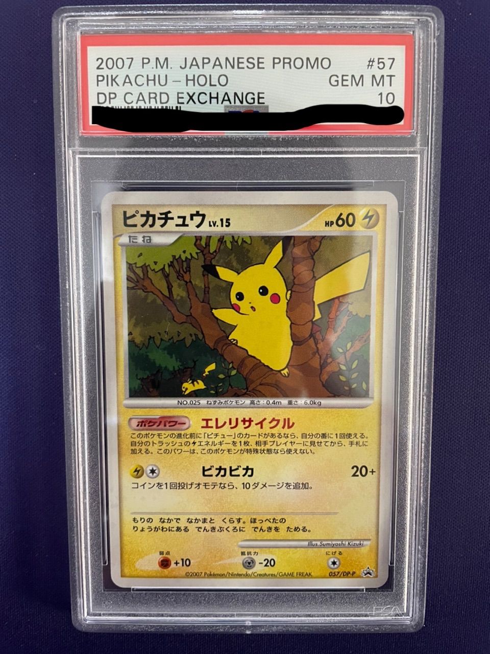 PSA鑑定済み】ピカチュウ 2007 プロモ GEM MINT 10【ポケカ】 - メルカリ
