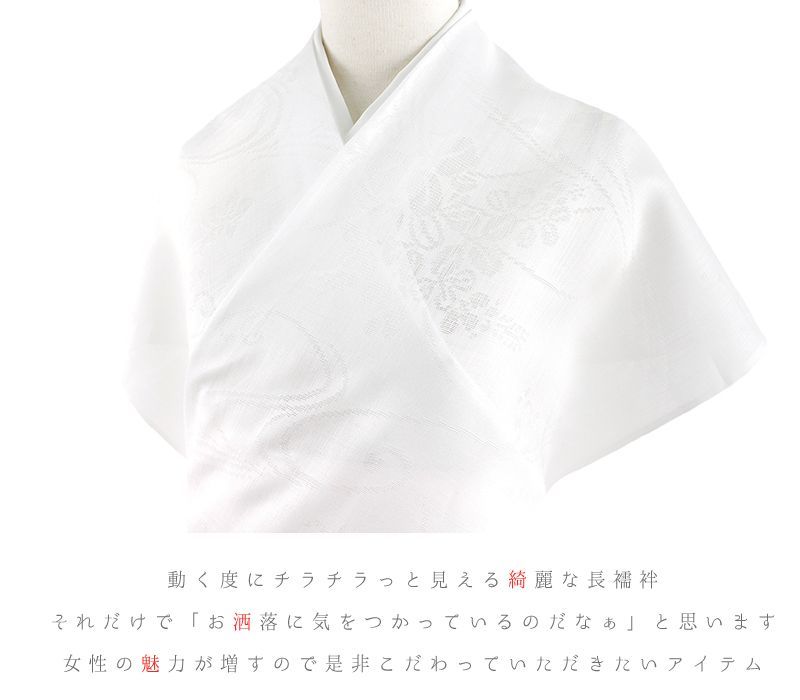 反物 紋紗