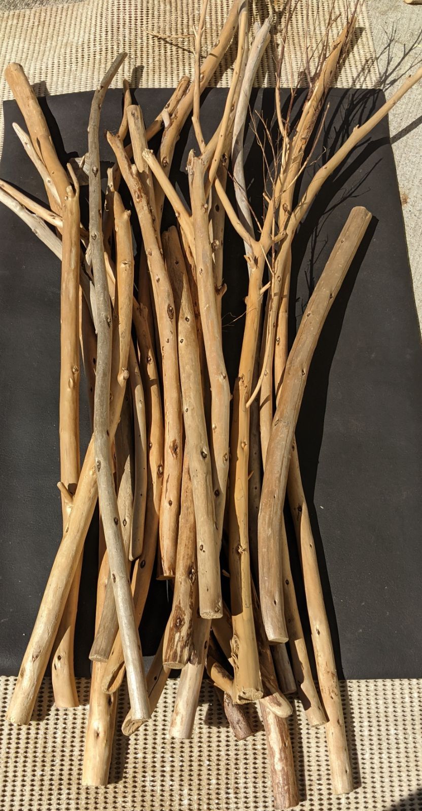 最終価格!!AX18【超大型流木】ロックガーデン向き/爬虫類等レイアウト