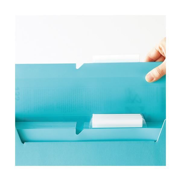 まとめ コクヨ 個別フォルダー NEOS PP製 A4 マチ幅15mm ターコイズブルー A4P-NEF15BX10 1パック 10冊 ×5セット